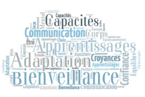 Image - Capture_d_ecran_2023-07-04_a_08.19.12.png